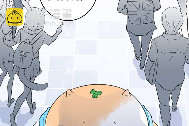 毛球星传说 第22集(1/2)-第22话