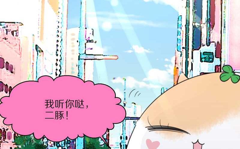 毛球星传说 第22集(1/2)-第22话