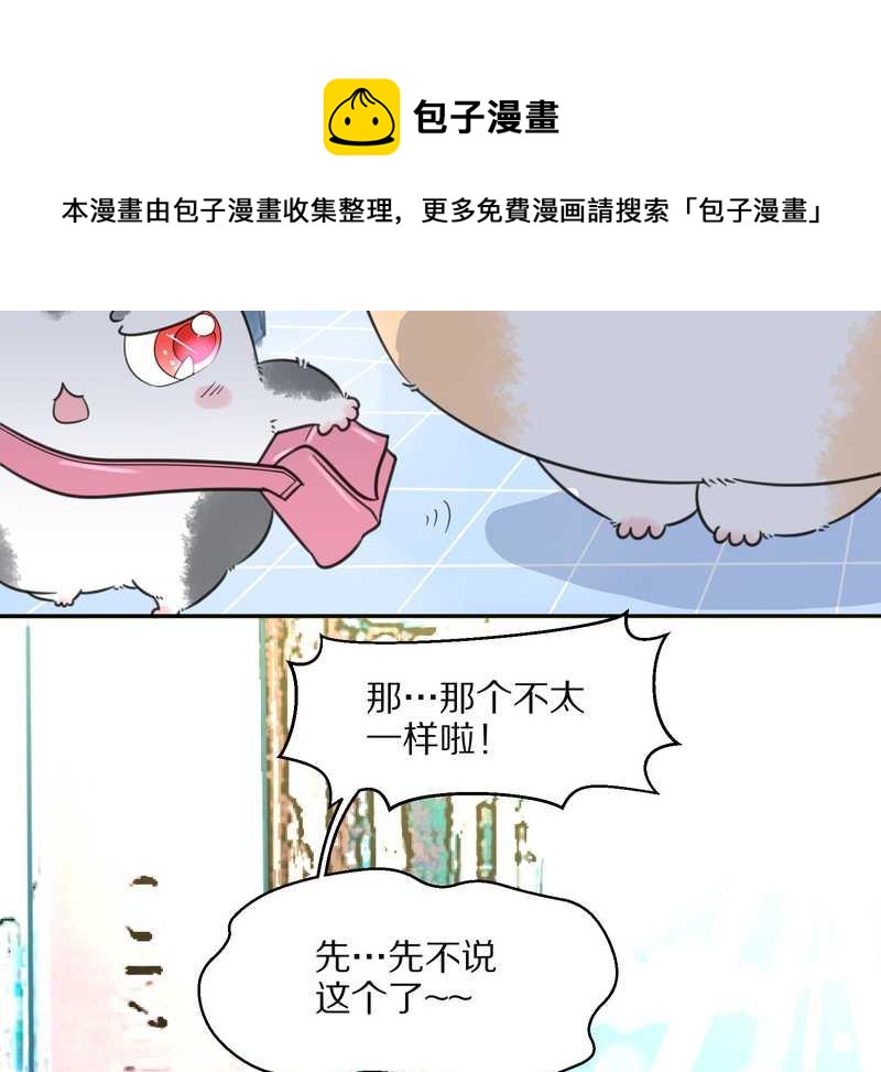 毛球星传说 第22集(1/2)-第22话