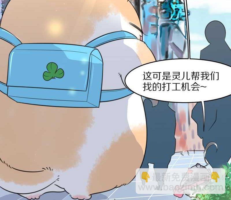 毛球星传说 第22集(1/2)-第22话