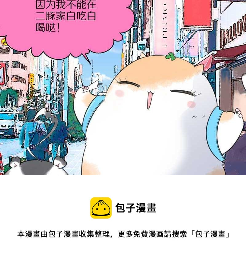 毛球星传说 第22集(1/2)-第22话