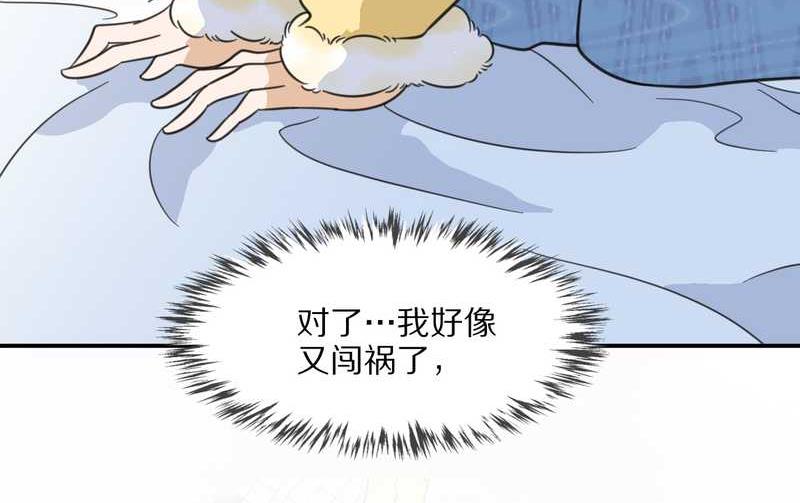 毛球星传说 第22集(1/2)-第22话