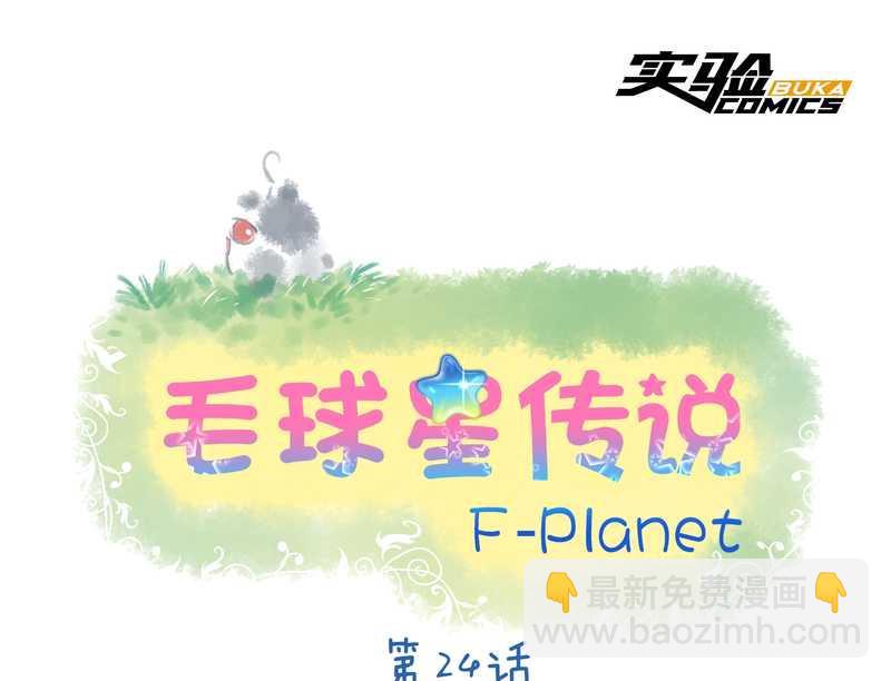 毛球星传说 第24集(1/2)-第24话