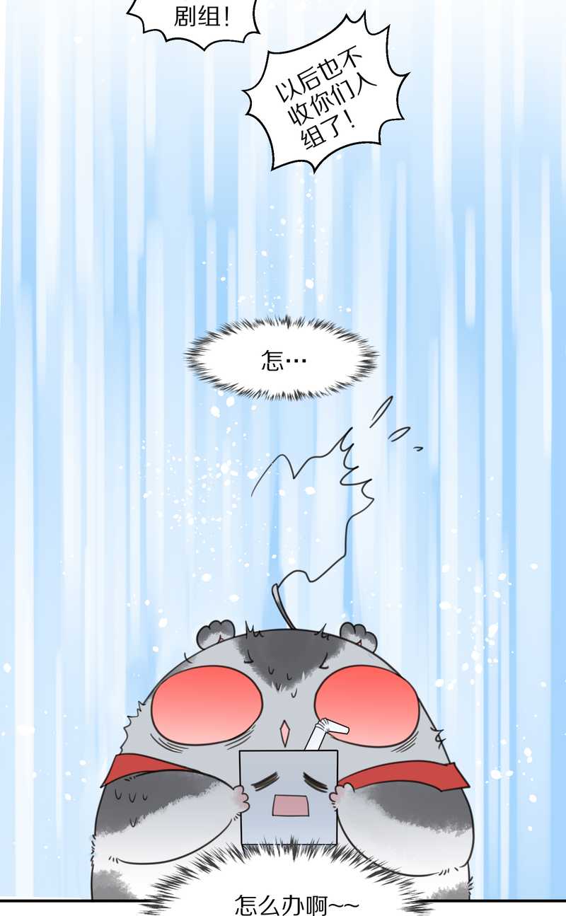 毛球星传说 第24集(1/2)-第24话