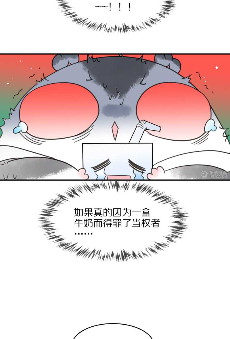 毛球星传说 第24集(1/2)-第24话