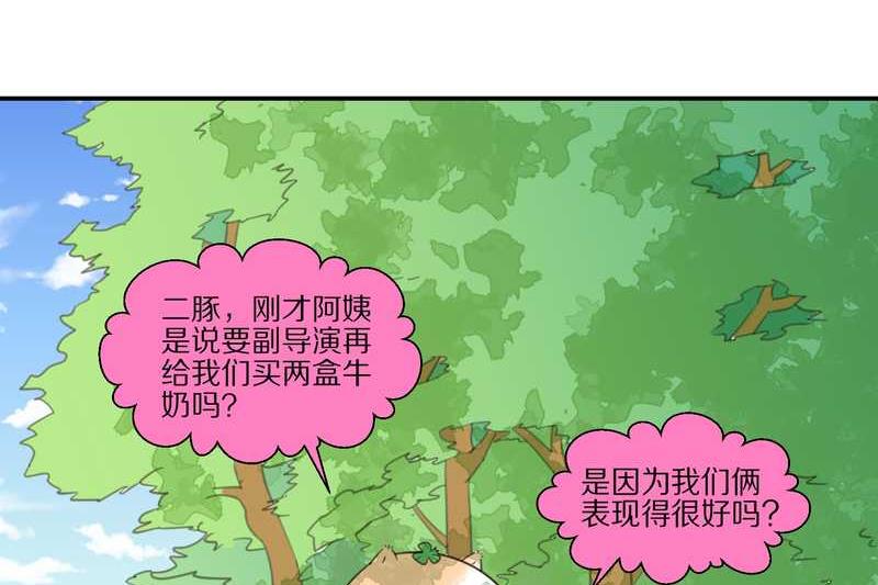 毛球星传说 第24集(1/2)-第24话