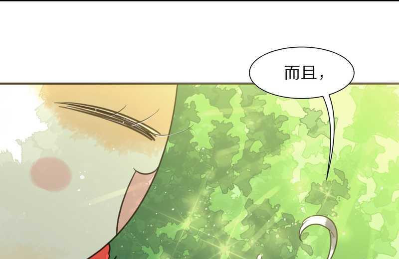 毛球星传说 第24集(1/2)-第24话