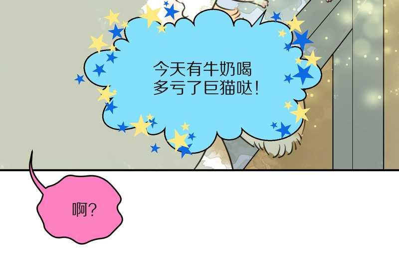 毛球星传说 第24集(1/2)-第24话