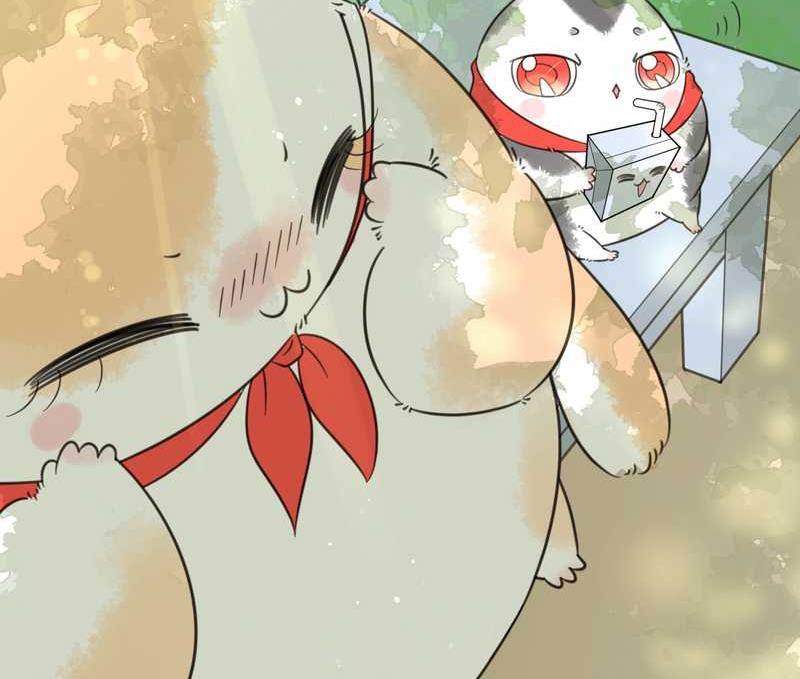 毛球星传说 第24集(1/2)-第24话