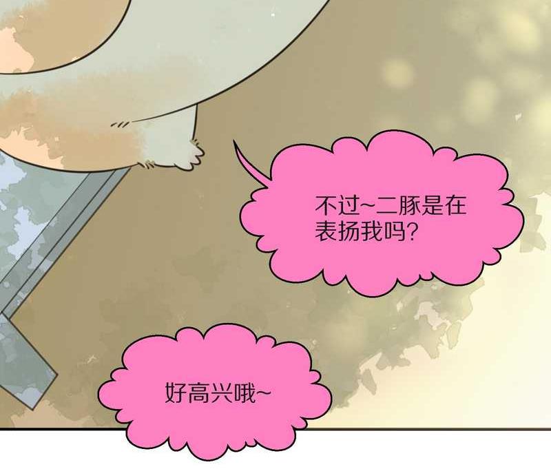 毛球星传说 第24集(1/2)-第24话