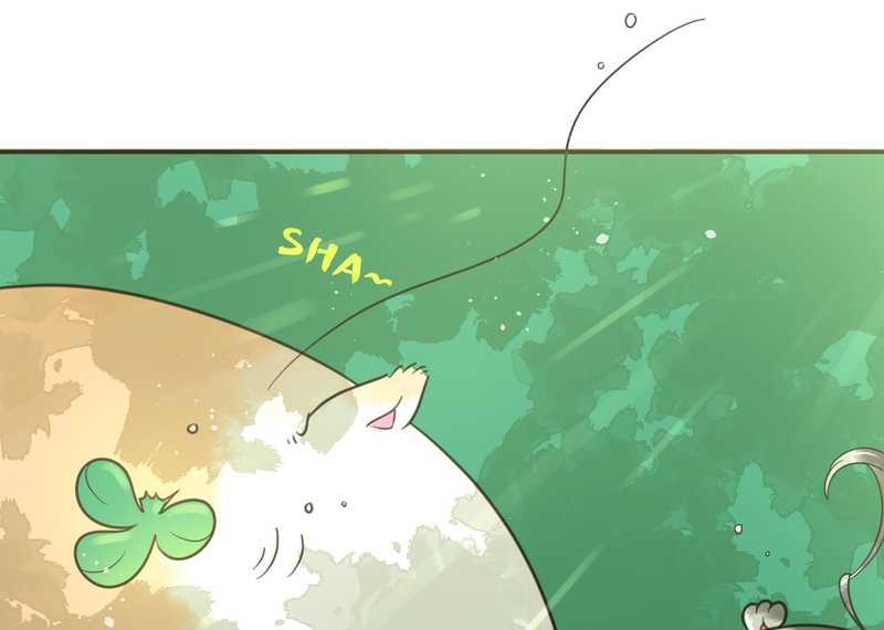 毛球星传说 第24集(1/2)-第24话