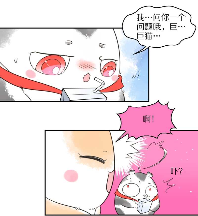 毛球星传说 第24集(1/2)-第24话