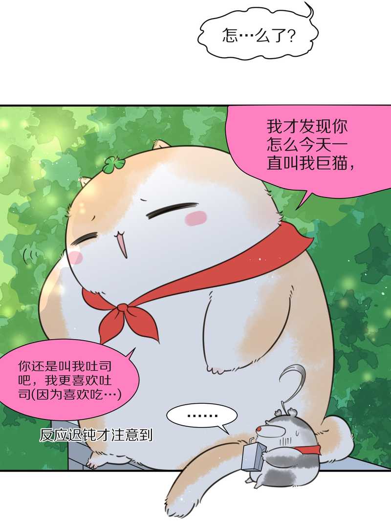 毛球星传说 第24集(1/2)-第24话