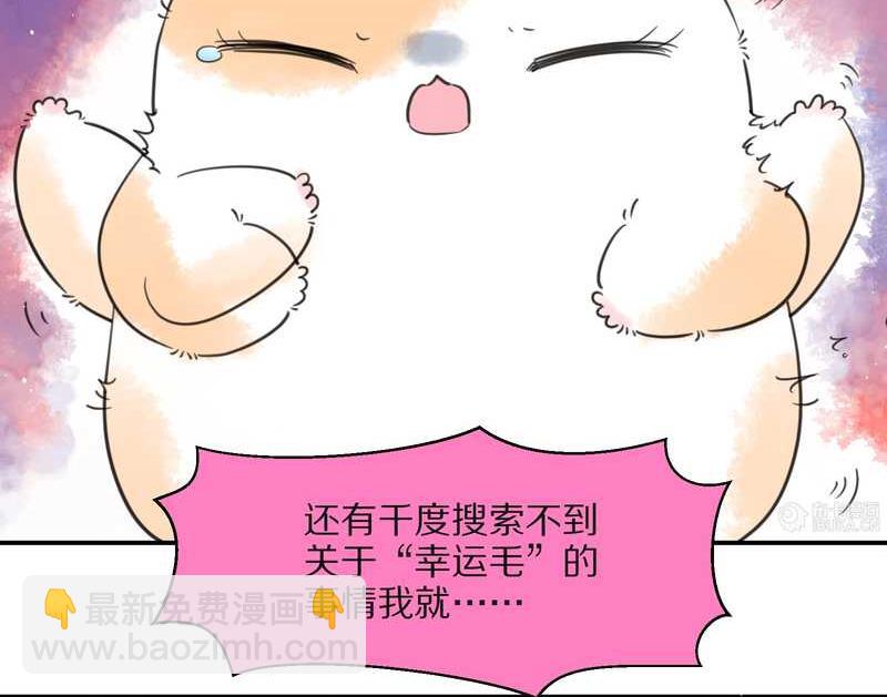 毛球星传说 第26集(1/3)-第26话