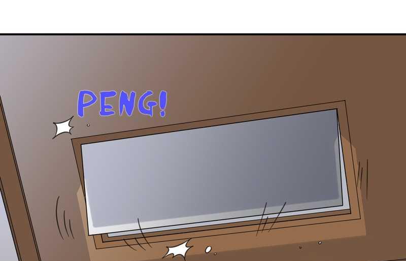 毛球星传说 第26集(1/3)-第26话