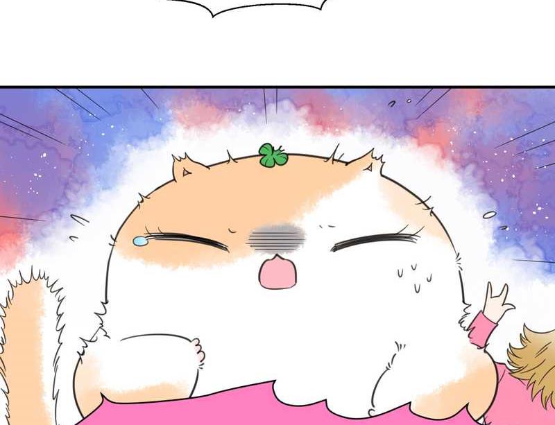 毛球星传说 第26集(1/3)-第26话