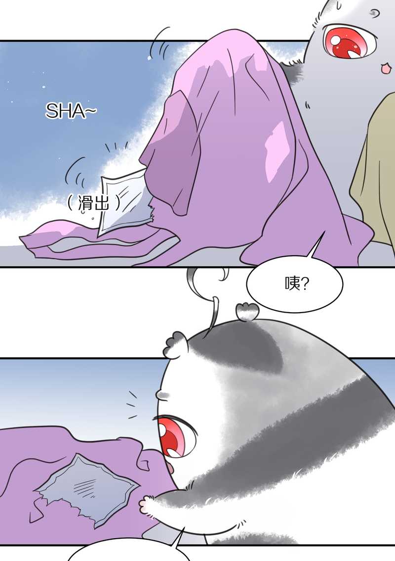 毛球星传说 第26集(1/3)-第26话