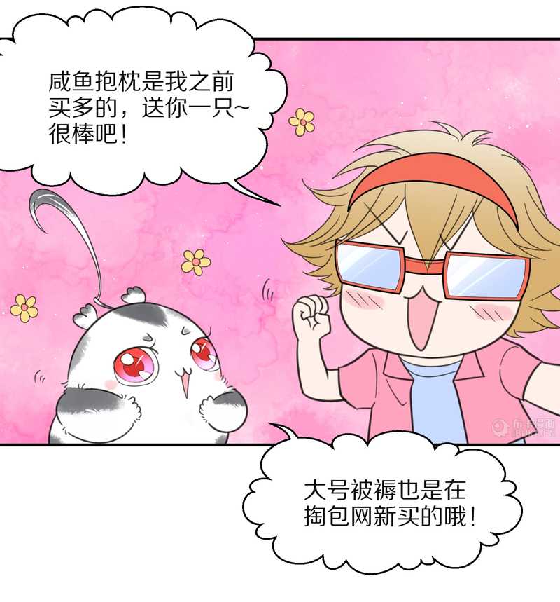 毛球星传说 第26集(1/3)-第26话