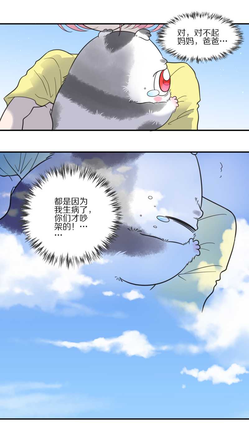 毛球星传说 第30集(1/2)-第30话