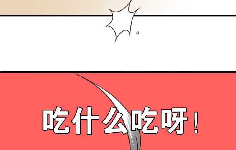 毛球星传说 第4集-第4话