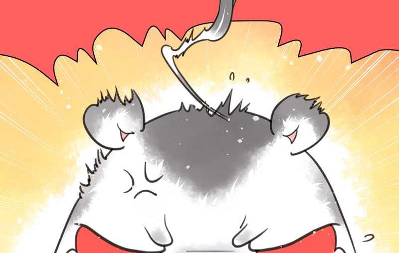 毛球星传说 第4集-第4话