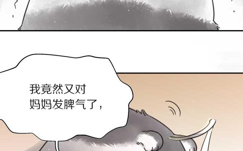 毛球星传说 第4集-第4话