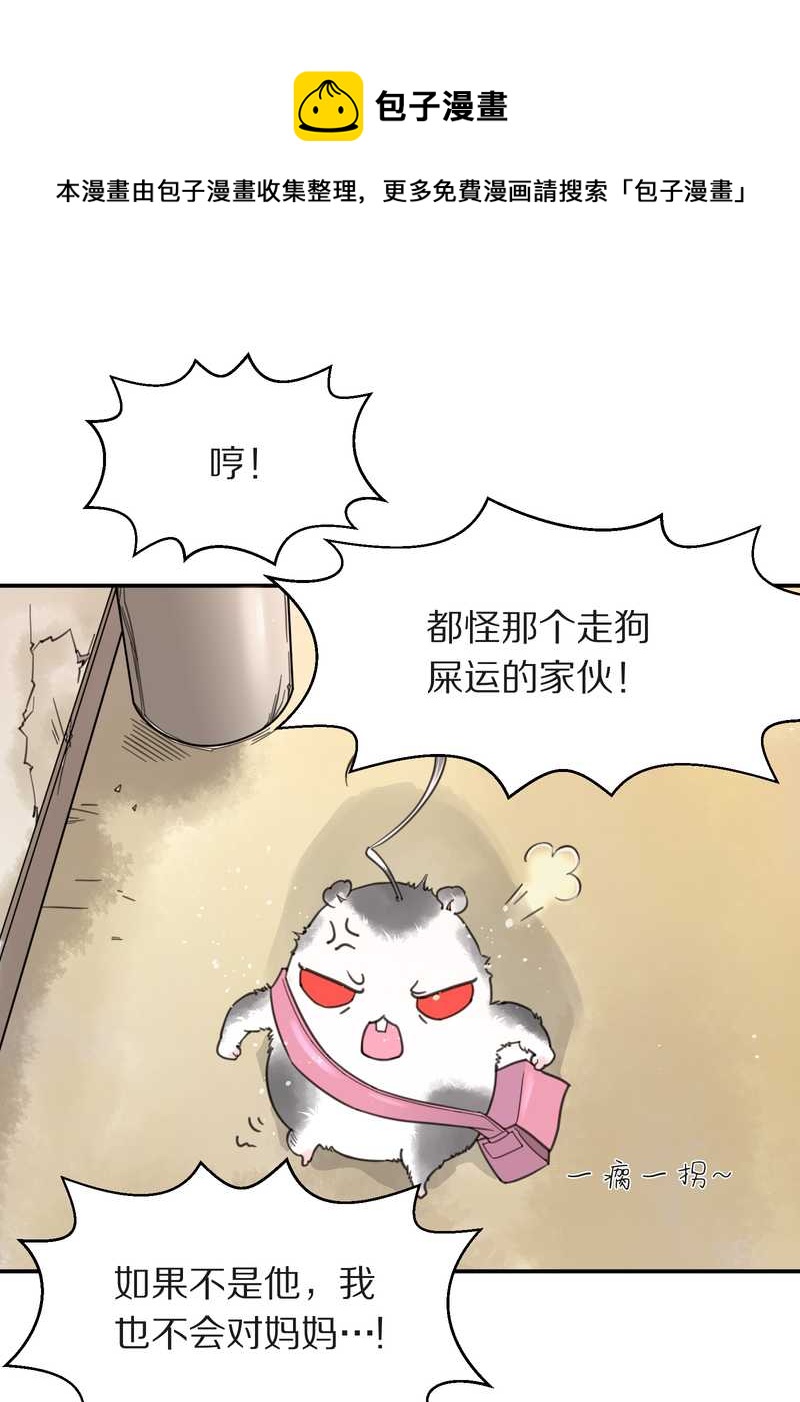 毛球星传说 第4集-第4话