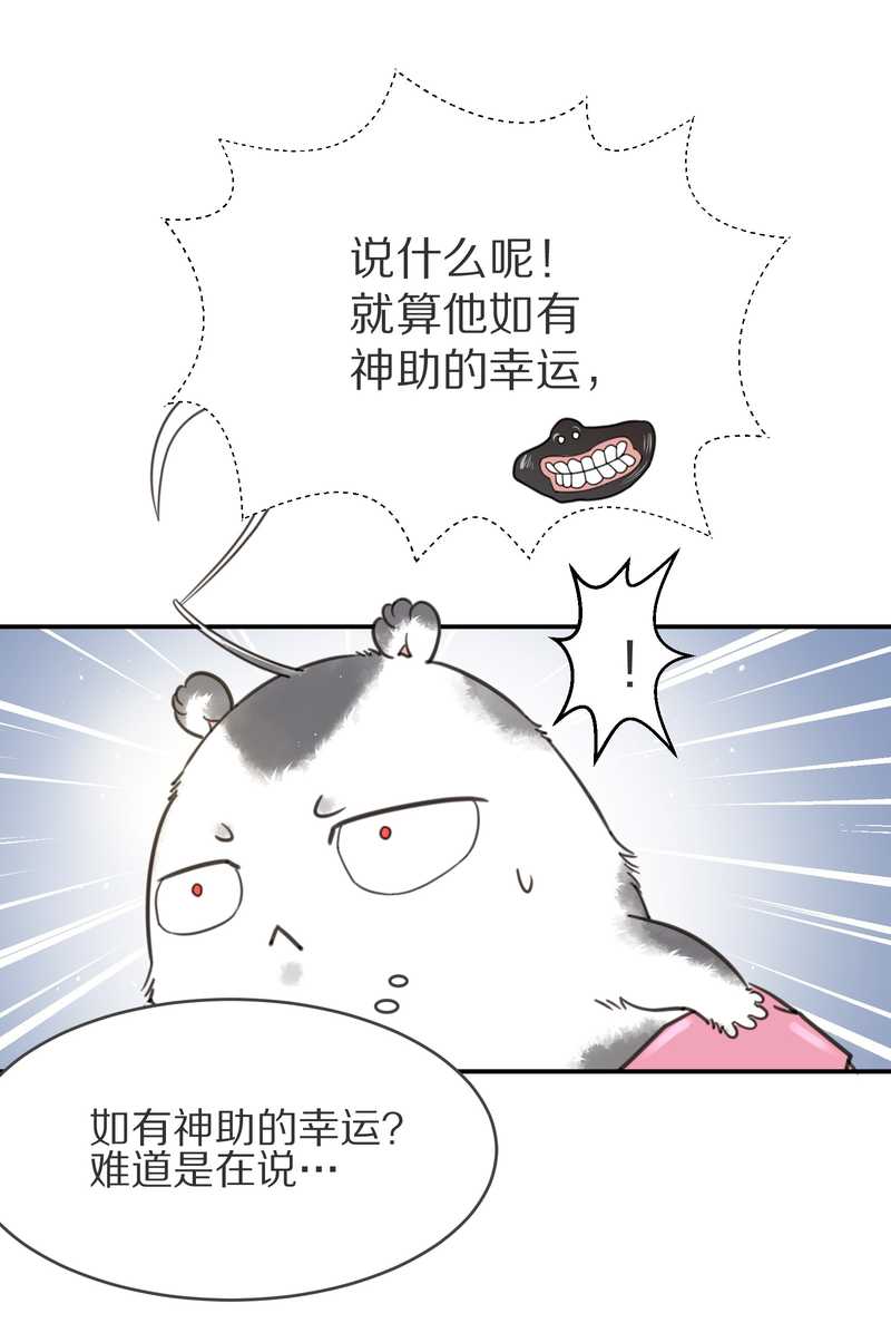 毛球星传说 第4集-第4话