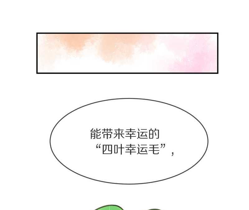 毛球星传说 第4集-第4话