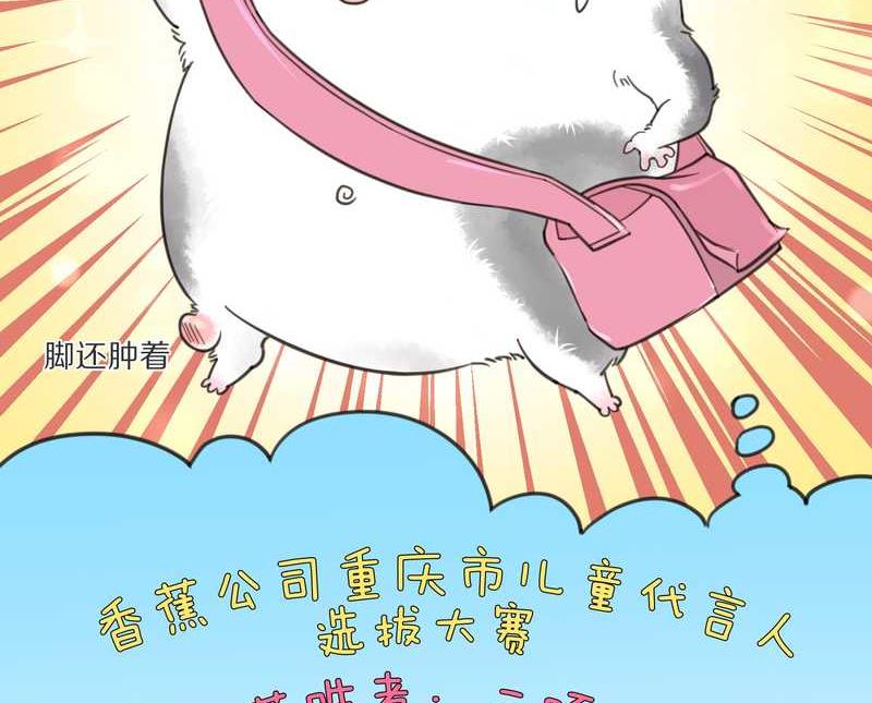 毛球星传说 第4集-第4话