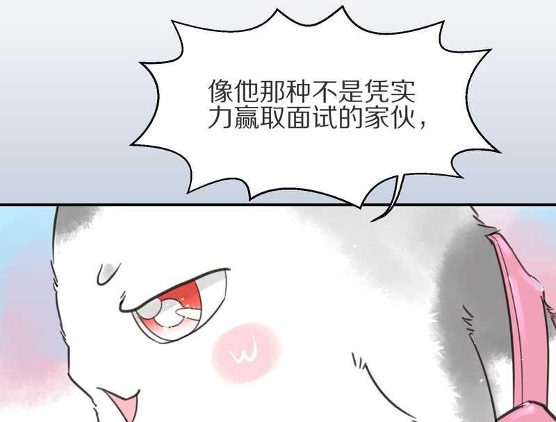 毛球星传说 第4集-第4话