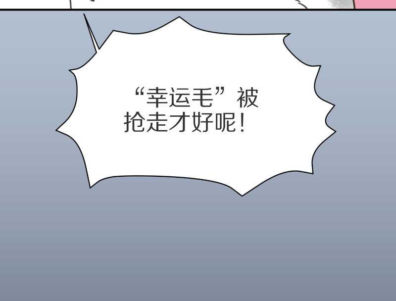 毛球星传说 第4集-第4话