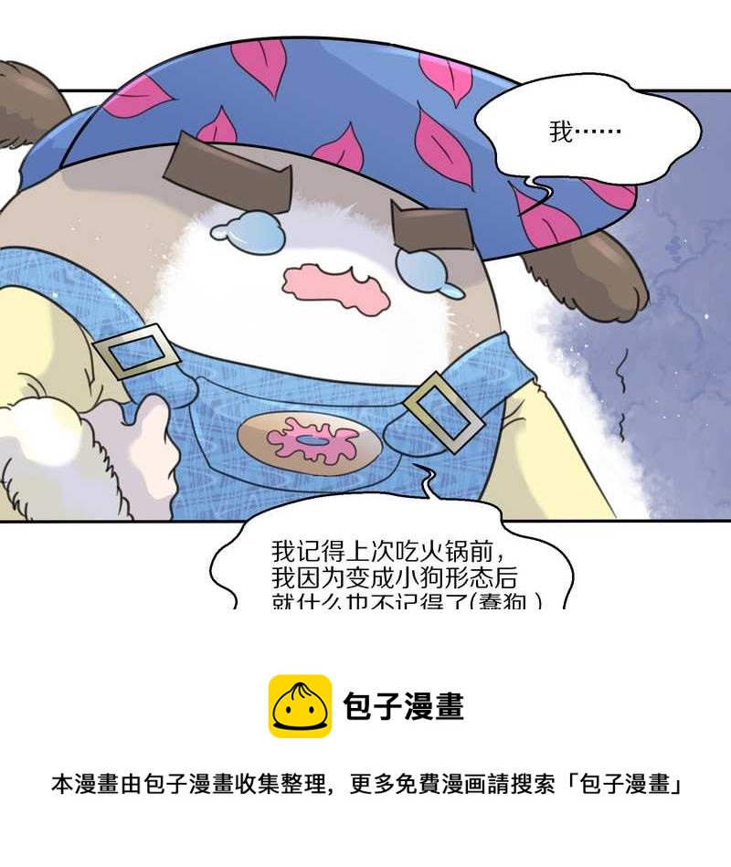 毛球星传说 第32集(1/3)-第32话