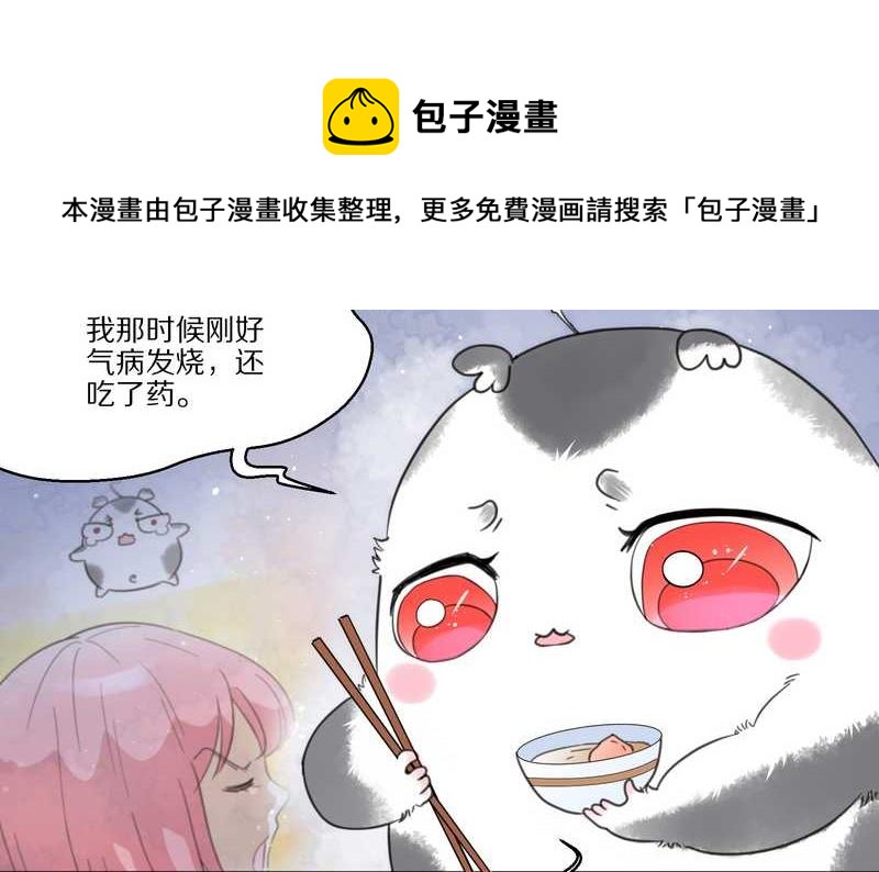 毛球星传说 第32集(1/3)-第32话