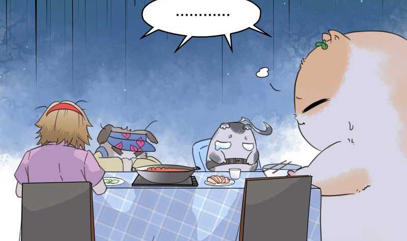 毛球星传说 第32集(1/3)-第32话