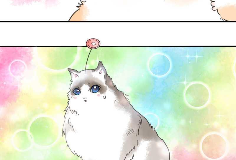 毛球星传说 第32集(1/3)-第32话