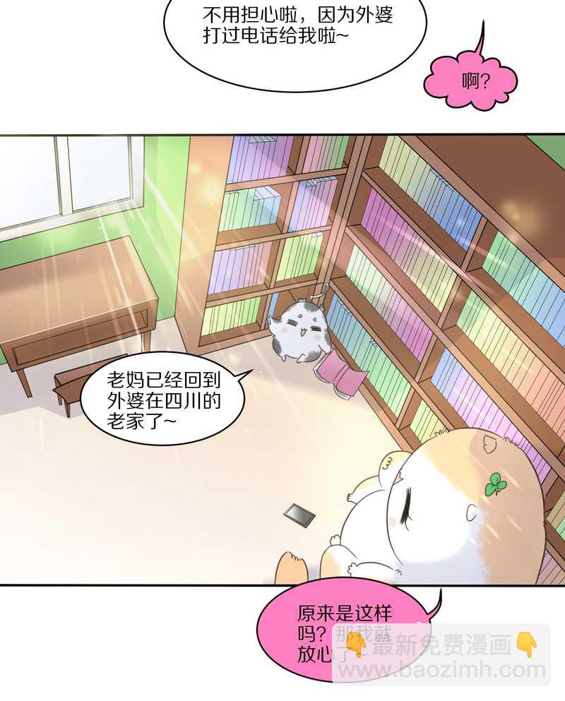 毛球星传说 第32集(1/3)-第32话