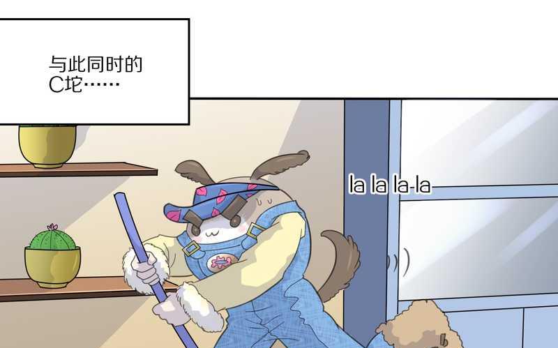 毛球星传说 第32集(1/3)-第32话