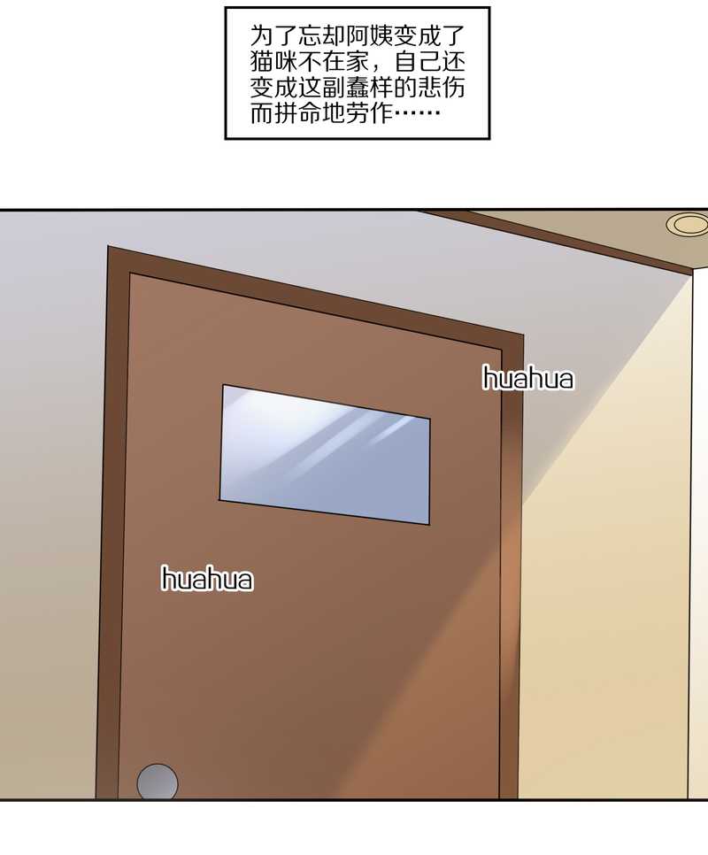 毛球星传说 第32集(1/3)-第32话