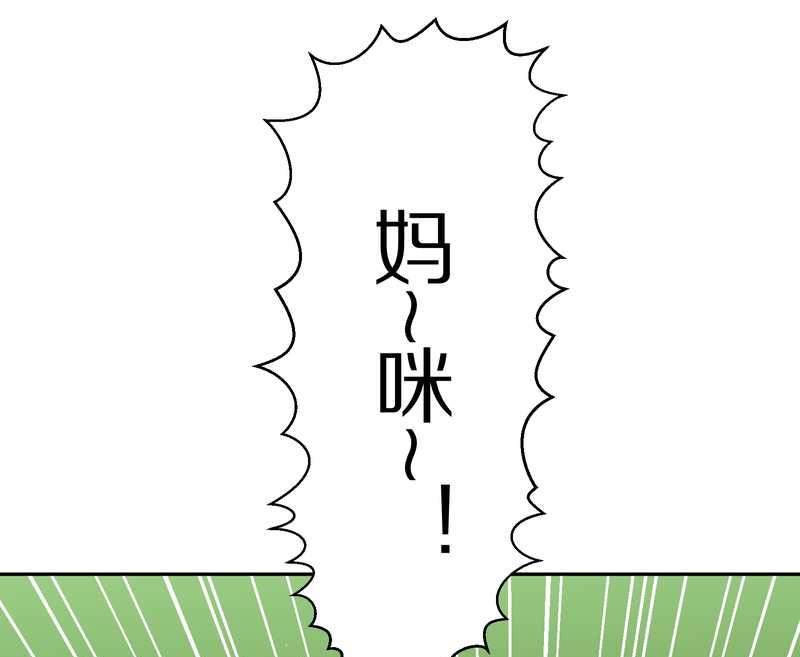 毛球星传说 第32集(1/3)-第32话