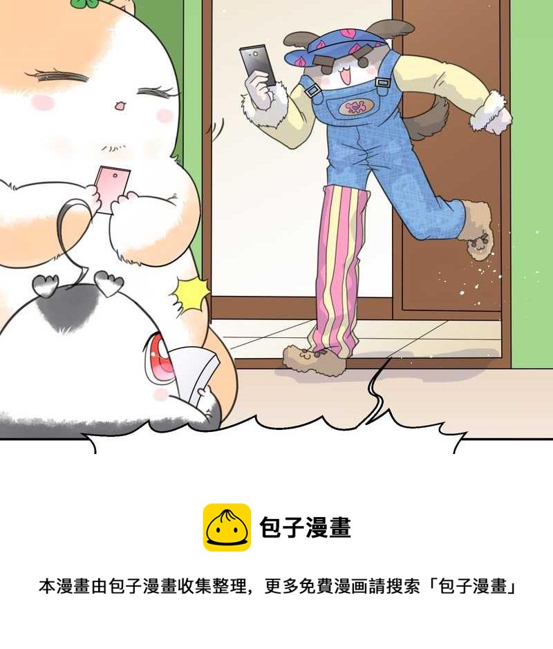 毛球星传说 第32集(1/3)-第32话