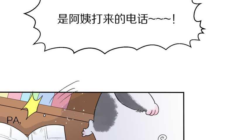 毛球星传说 第32集(1/3)-第32话