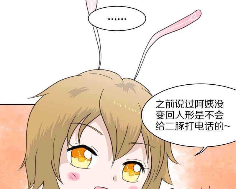 毛球星传说 第32集(1/3)-第32话