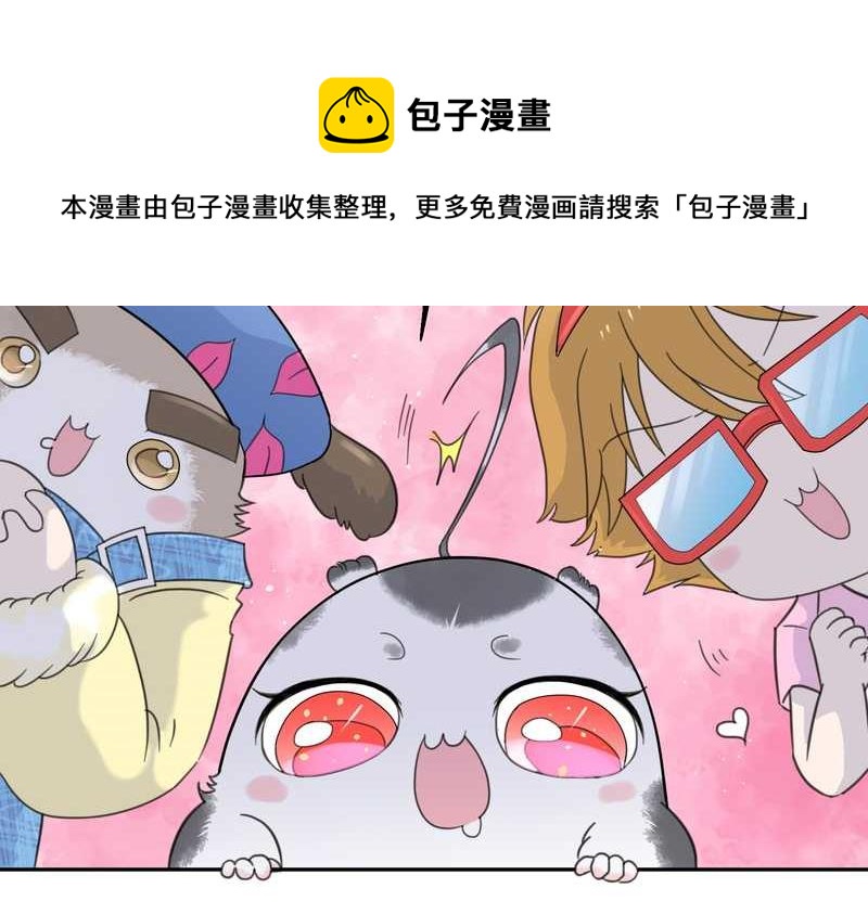 毛球星传说 第32集(1/3)-第32话