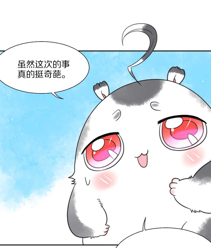 毛球星传说 第34集(1/2)-第34话