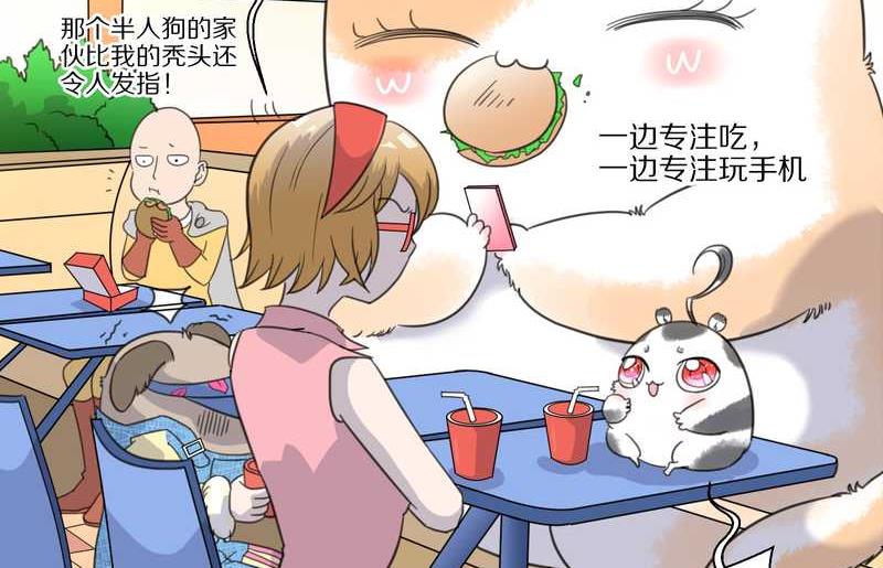 毛球星传说 第34集(1/2)-第34话