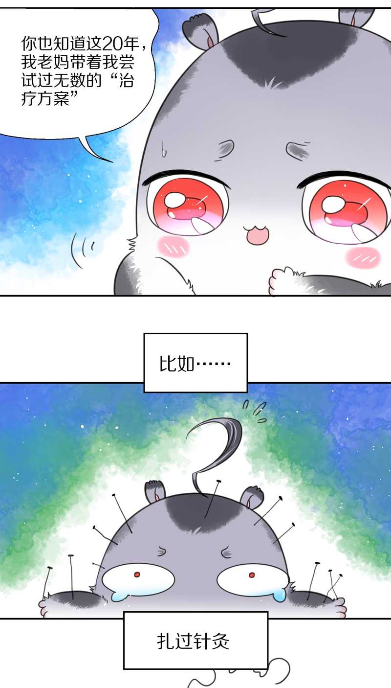 毛球星传说 第34集(1/2)-第34话