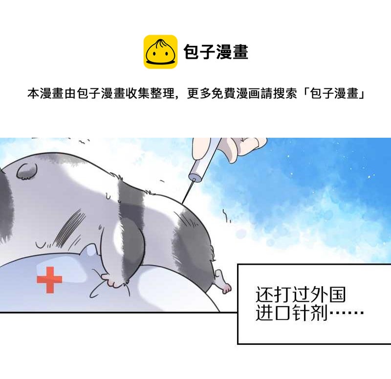 毛球星传说 第34集(1/2)-第34话
