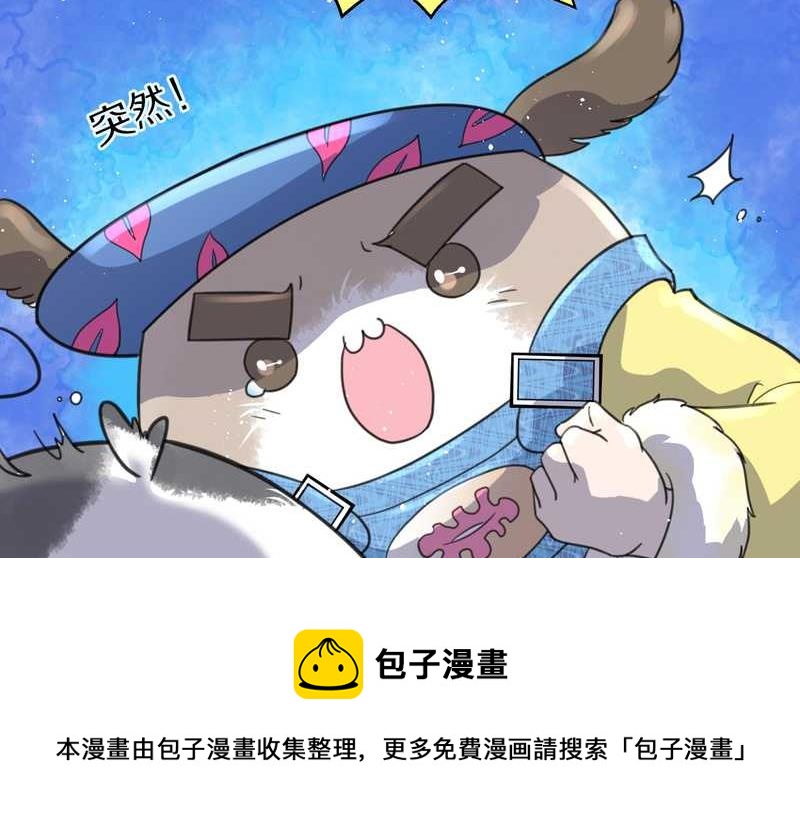 毛球星传说 第34集(1/2)-第34话