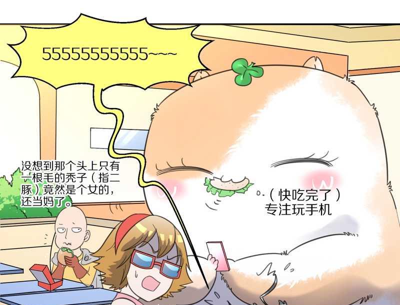 毛球星传说 第34集(1/2)-第34话